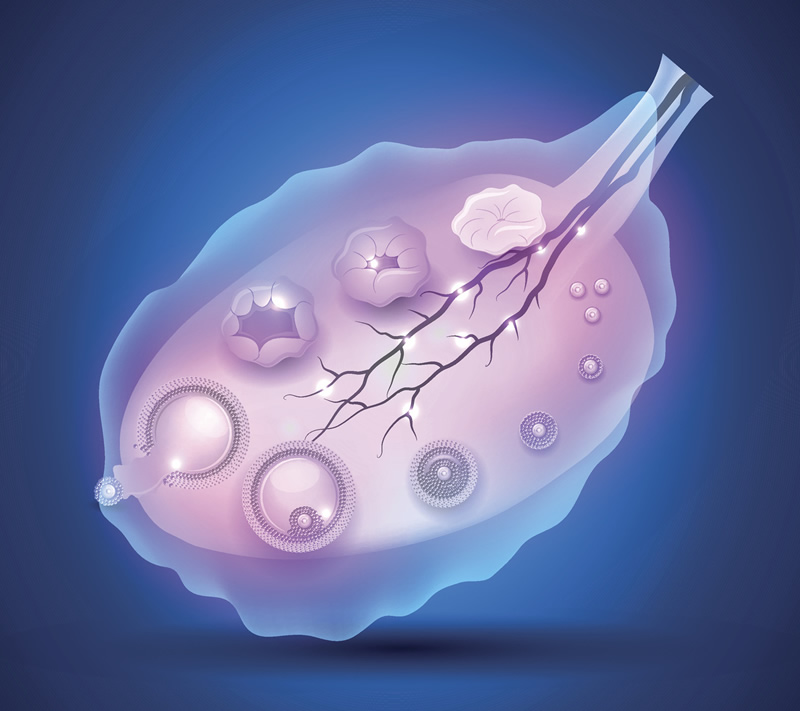2026年合肥HIV携带者洗精试管医院精选与就医指南：安医一附院、安徽省立医院等五家核心机构深度解析